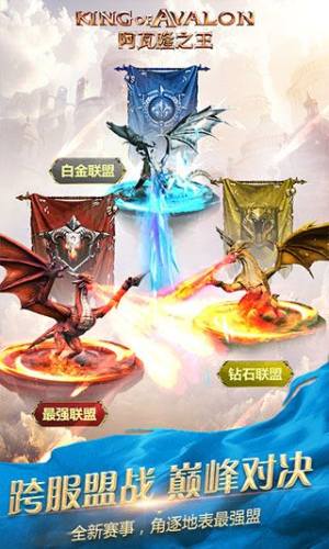 阿瓦隆之王游戏截图3